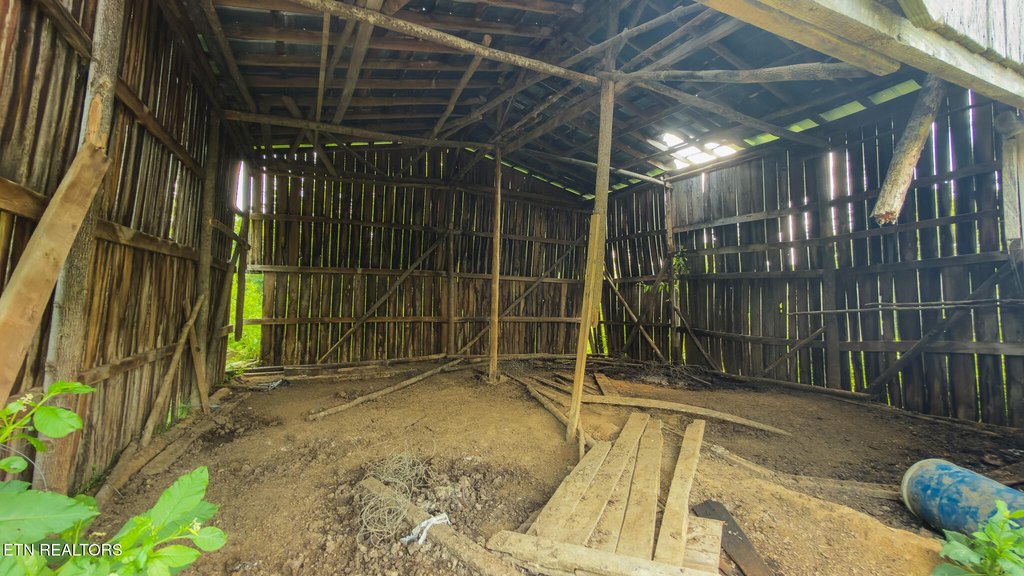 Picture 16