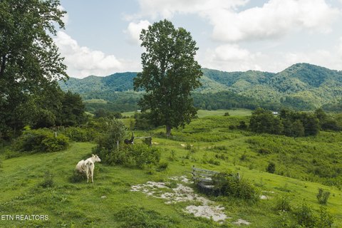LAND - Sneedville, TN