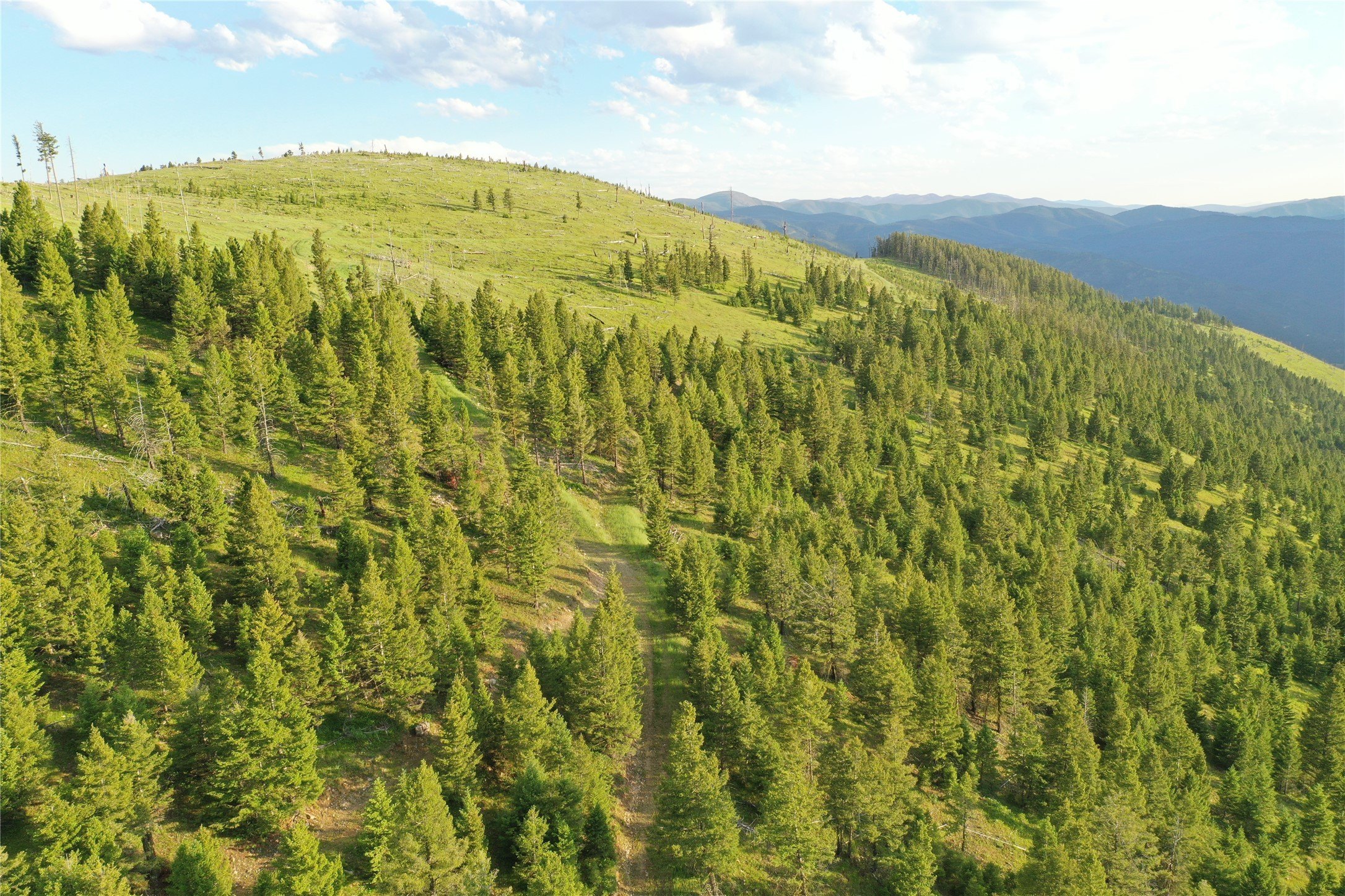 Montana Land Near Drummond