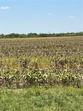 Railroad-Adjacent Farmland