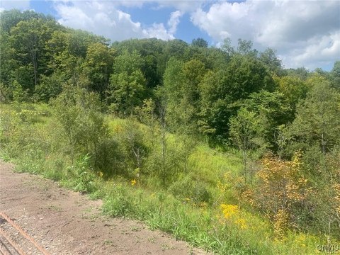 Utica, NY Land For Sale