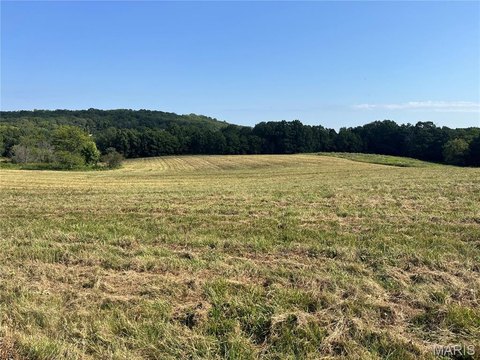 Residential Land in Elsberry, Missouri