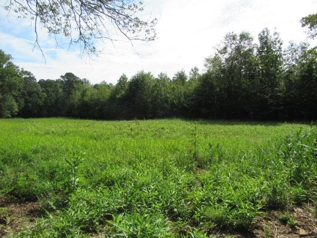 Land with Creek Frontage