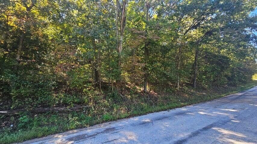 Ozarks Land Near Bull Shoals