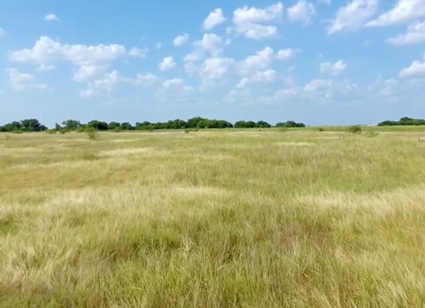 LAND - Other - Kaufman, TX