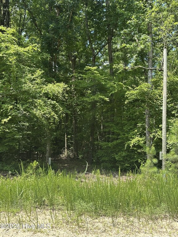 Picture 3