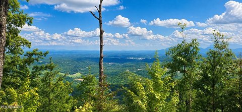 Lots & Acreage, Sevierville, TN