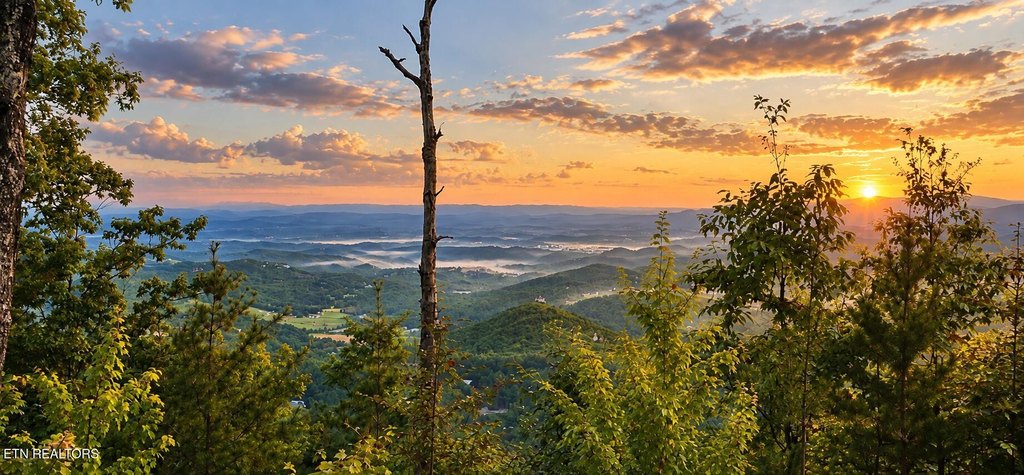 Picture 29