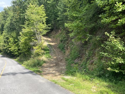 Lots & Acreage, Sevierville, TN