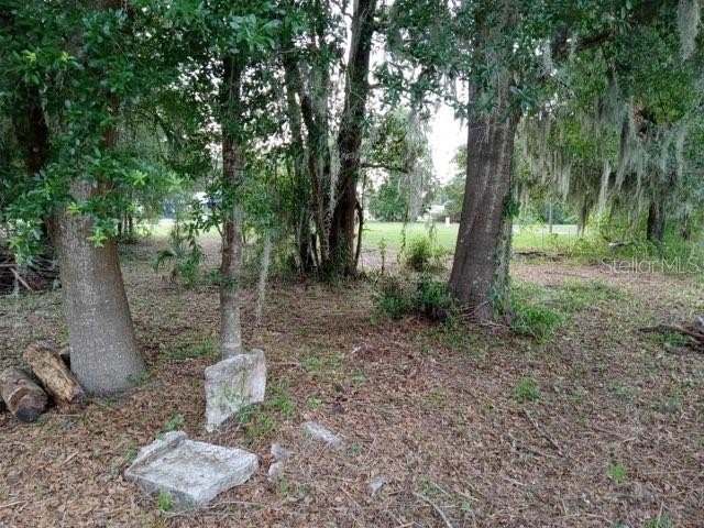 Picture 6