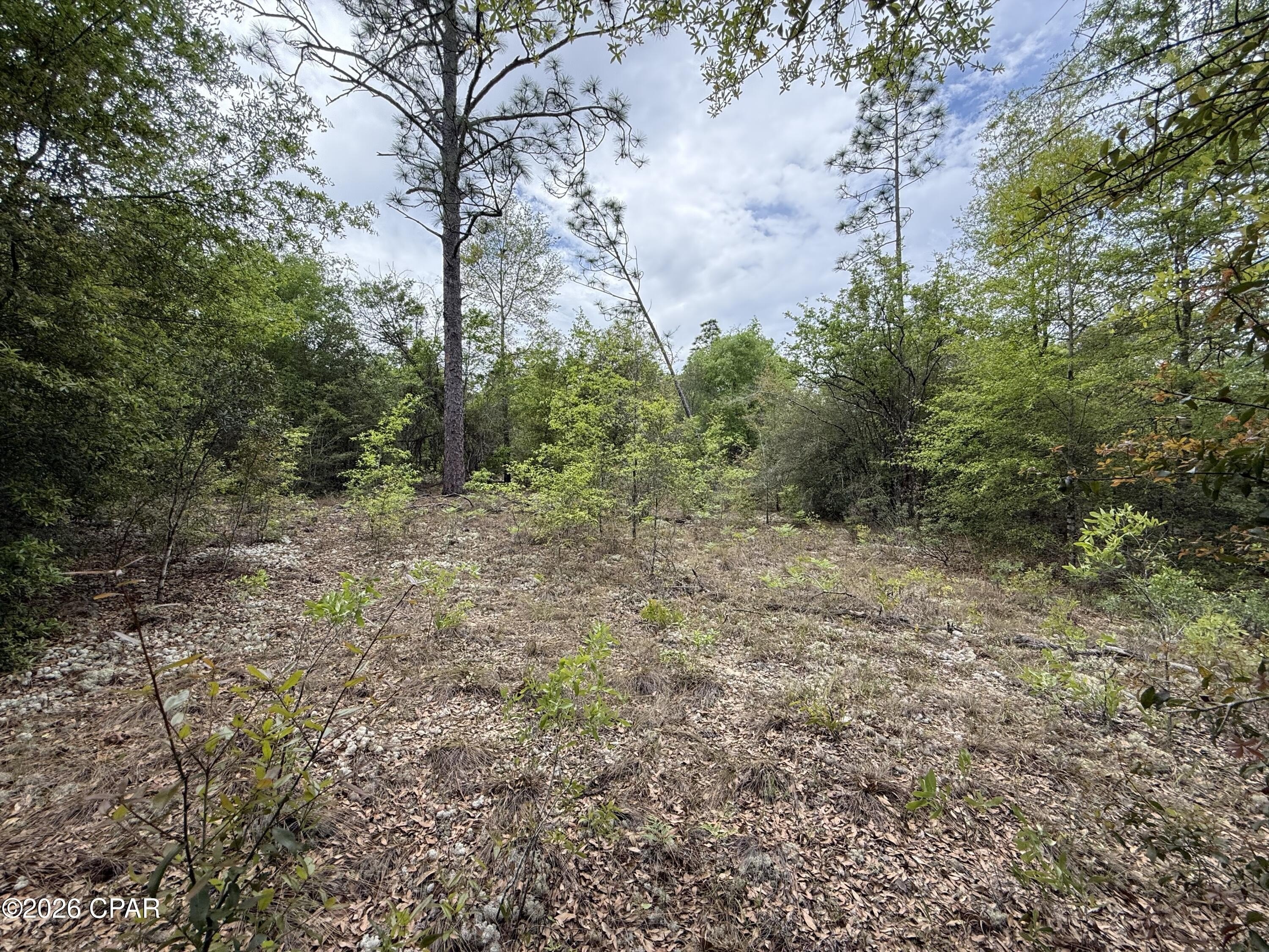 Fountain, FL 5-Acre Land Parcel