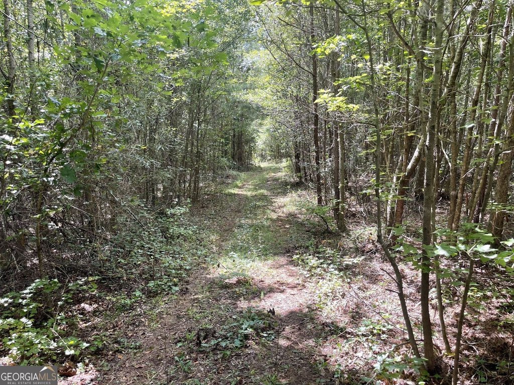 Picture 15
