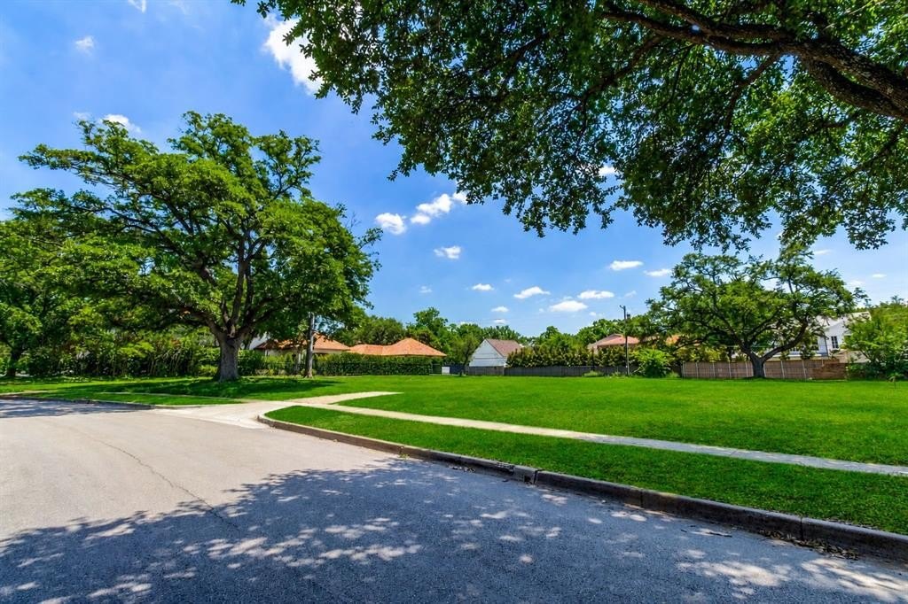 Highland Park Treed Lot
