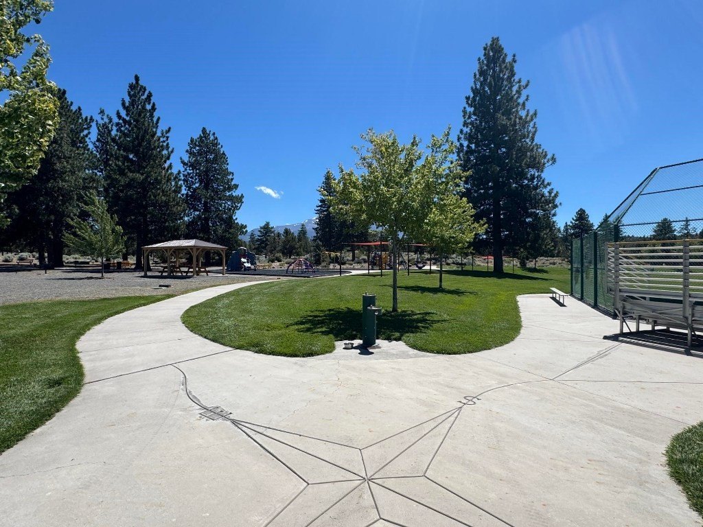 Picture 24