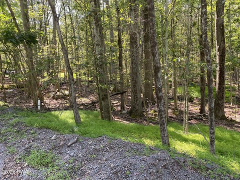 Land, Hawley, PA