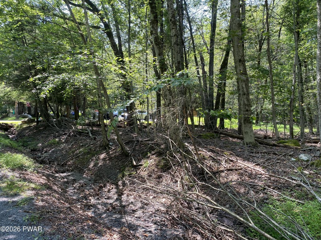 Picture 13