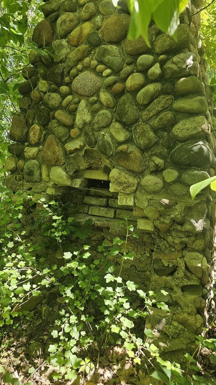 Picture 16