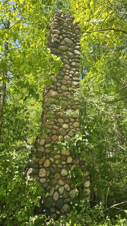 Picture 15