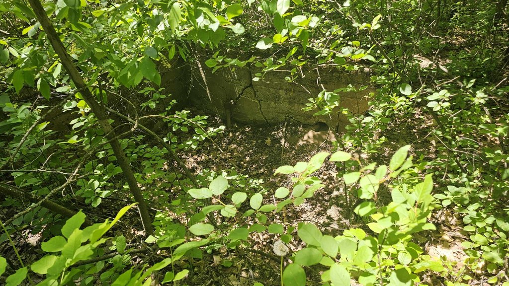Picture 18