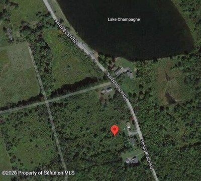 Land Near Lake and Woods