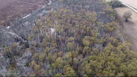 37 Acres Hunting Land Indianola