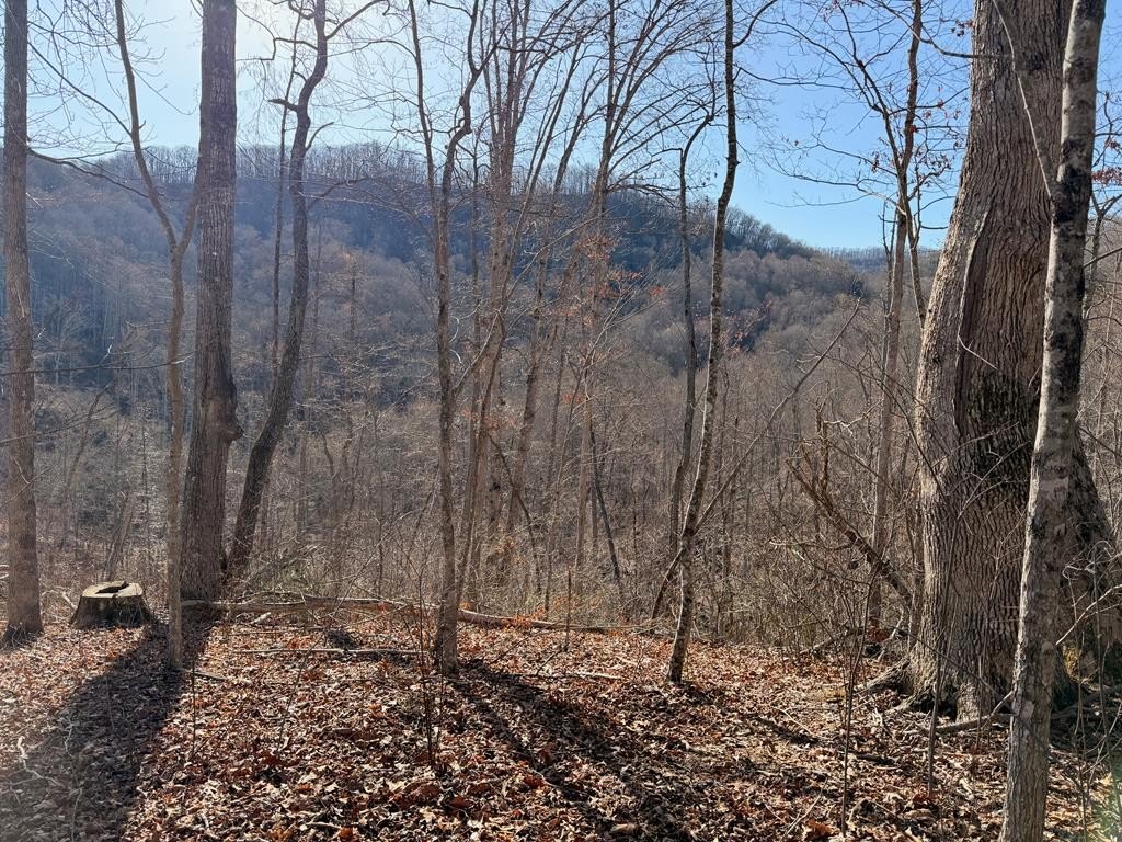 Sylva Mountain Property with Views