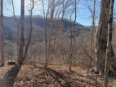 Sylva Mountain Property with Views