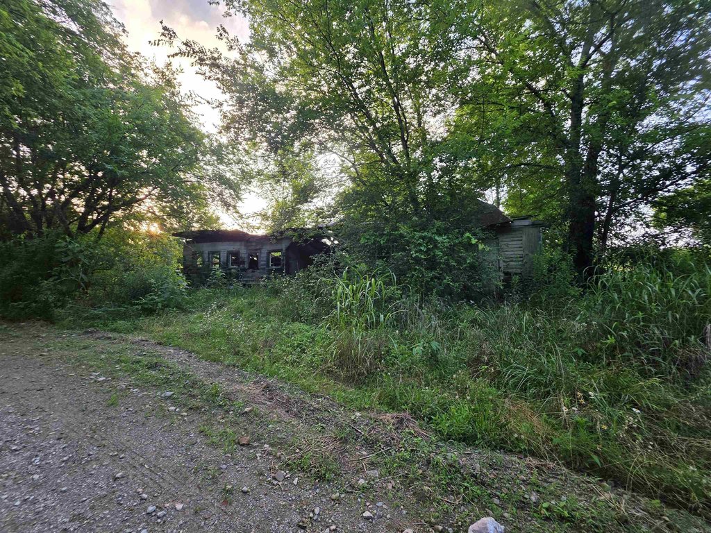 Picture 22
