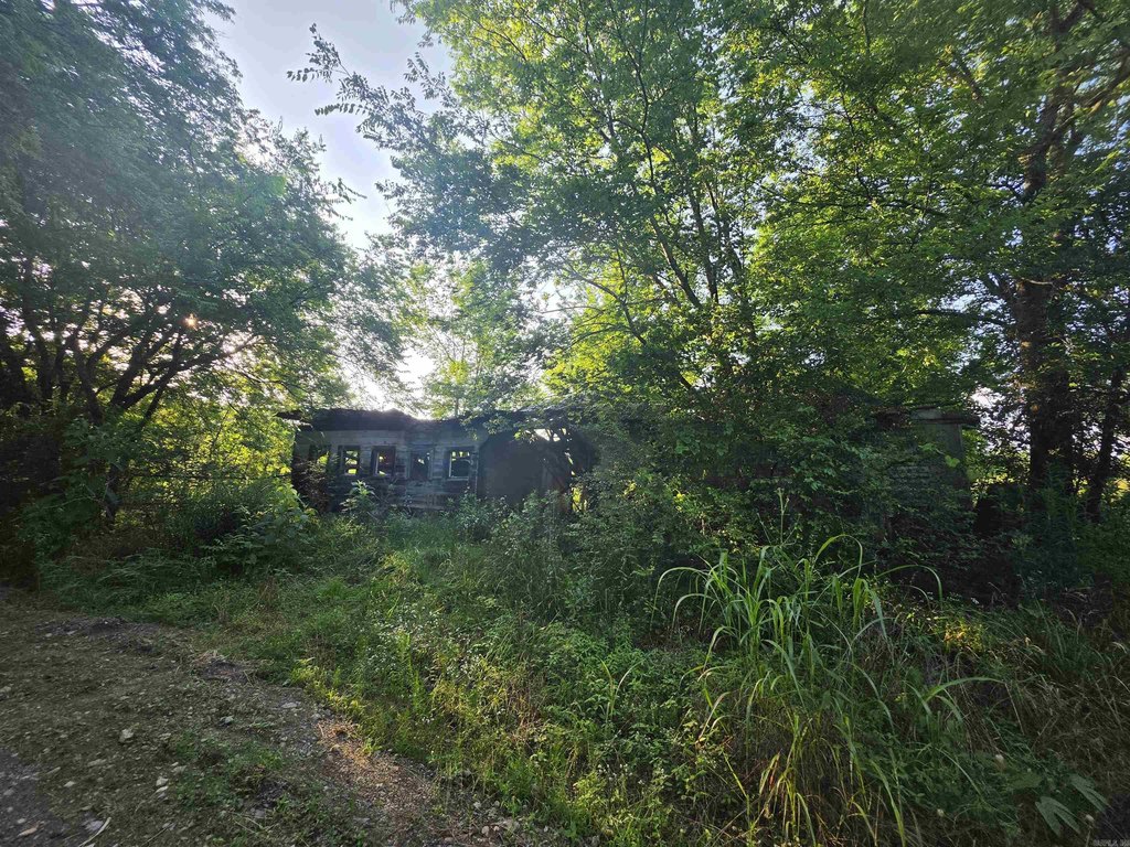 Picture 18