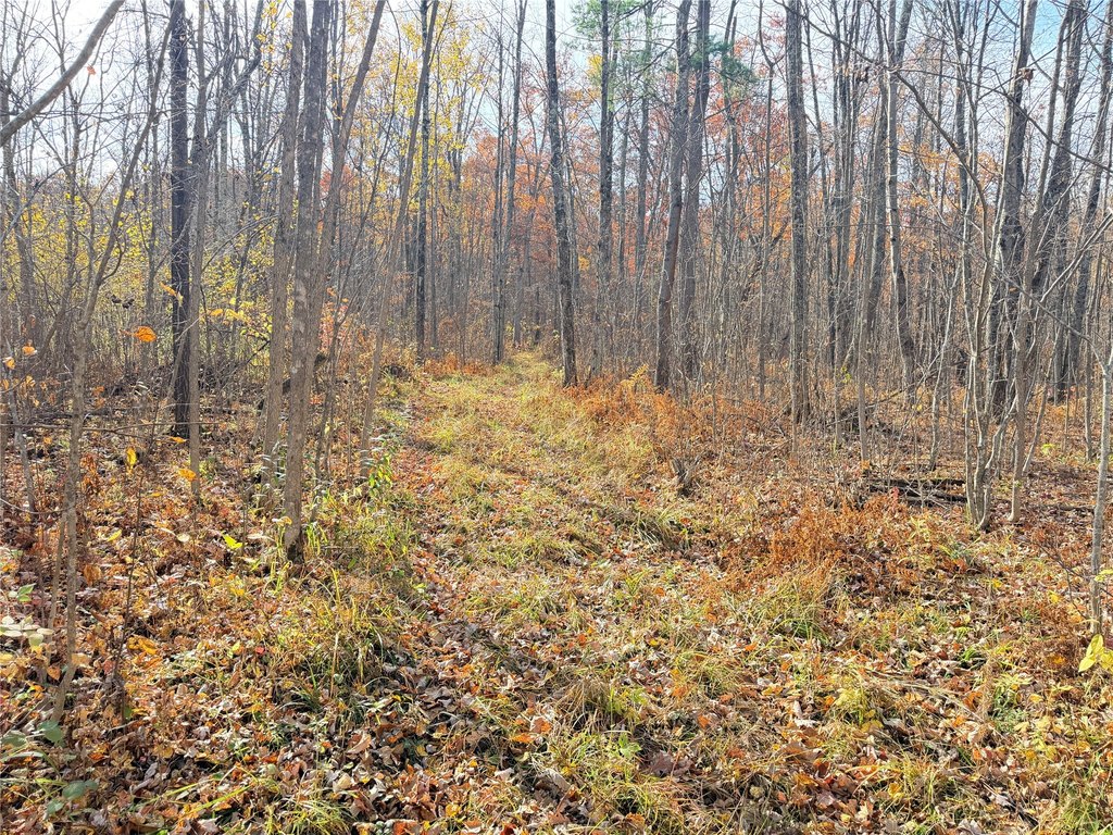 Picture 48