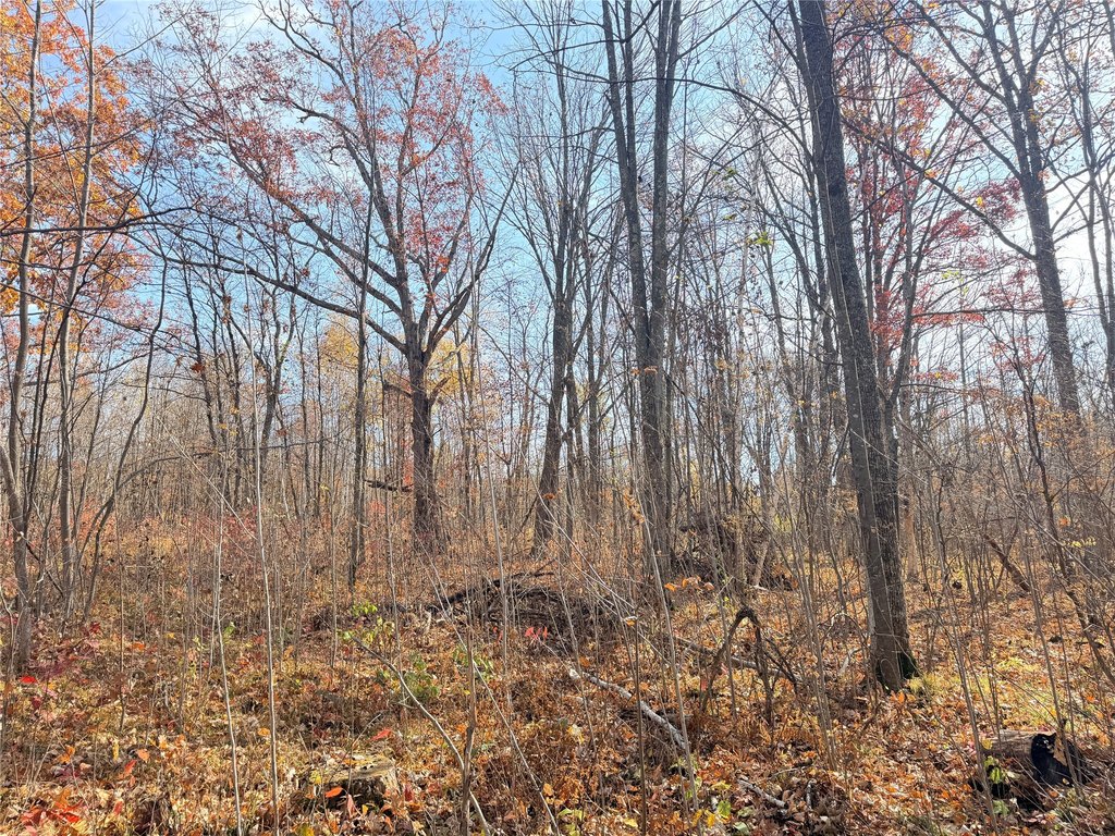 Picture 18