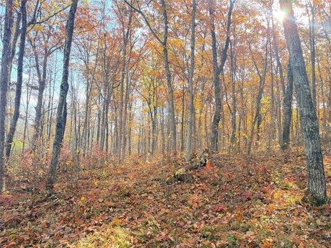 Land, Rice Lake, WI