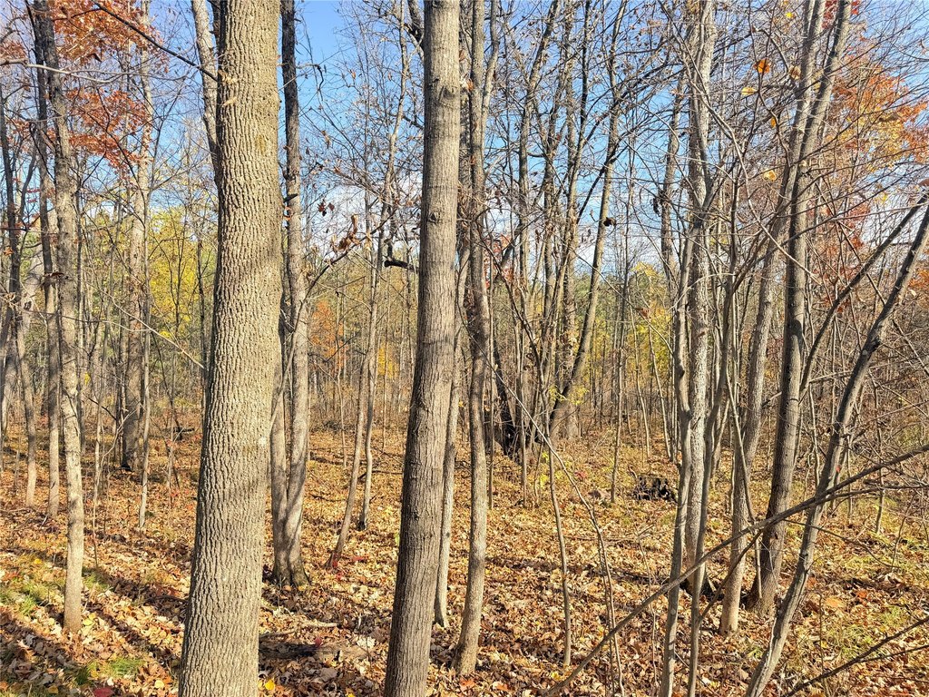 Picture 16