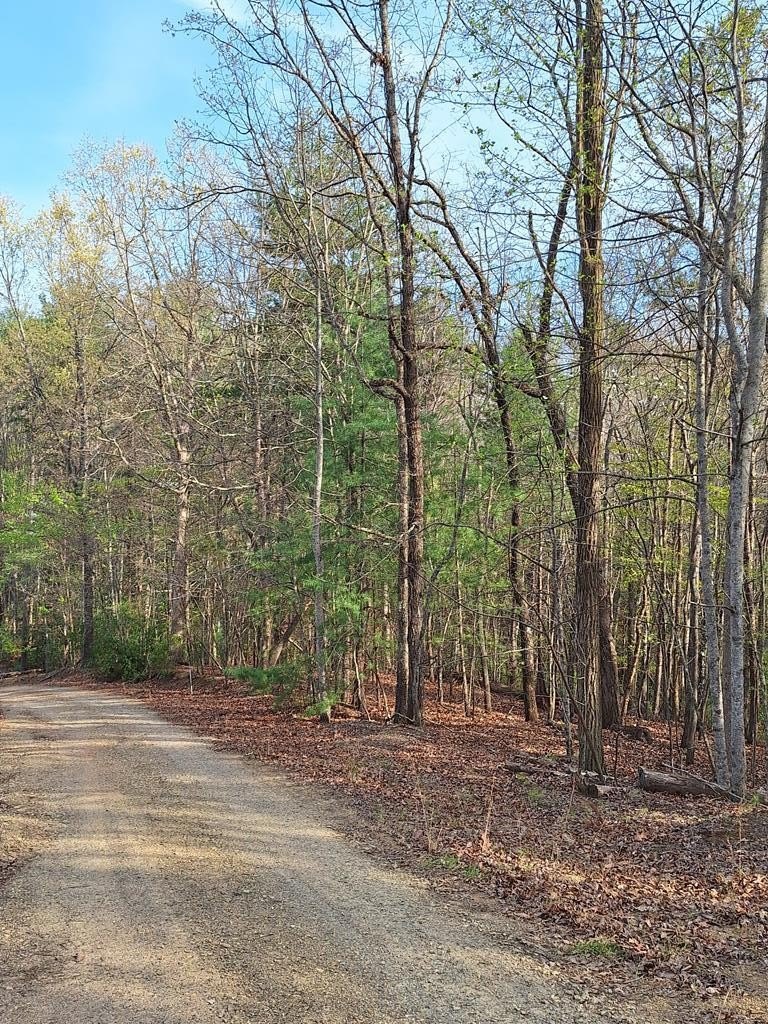 Morganton, GA Vacant Land