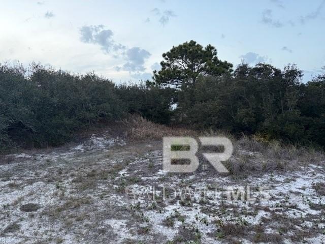 Picture 7