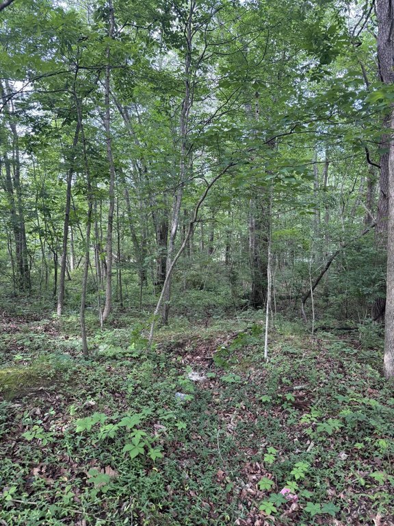Picture 10