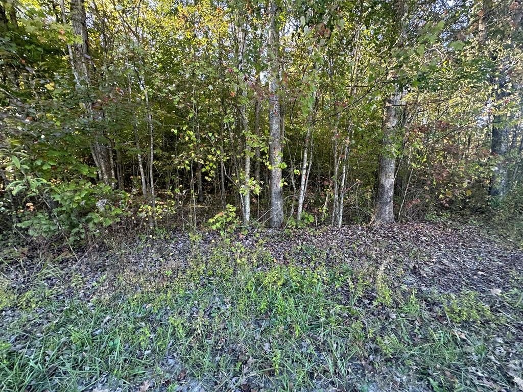 Residential Land with Lake Access