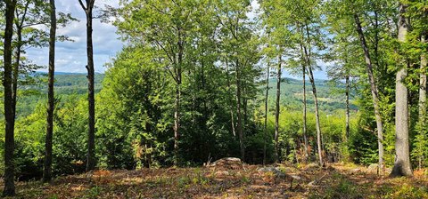 Henniker Land with Mountain Views