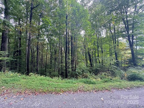 LAND - Waynesville, NC