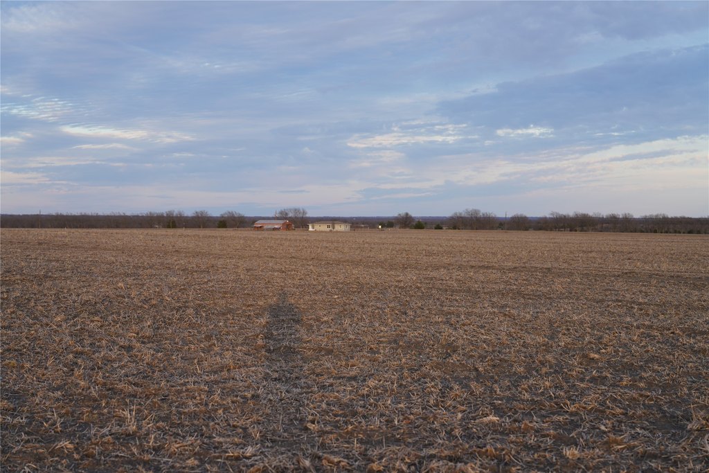 Picture 4