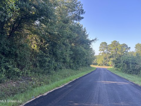 Unrestricted Land in Summit, MS