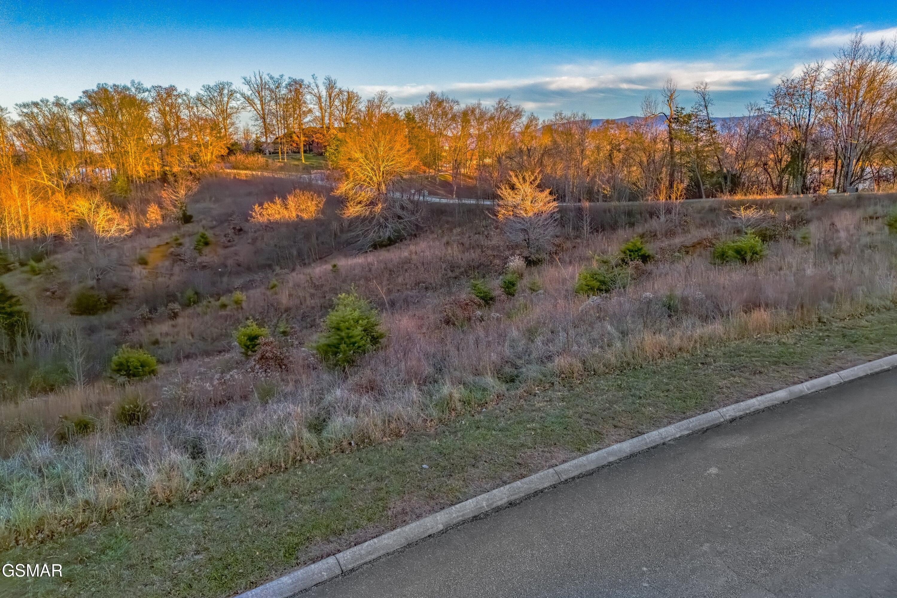 Douglas Lake Waterfront Land
