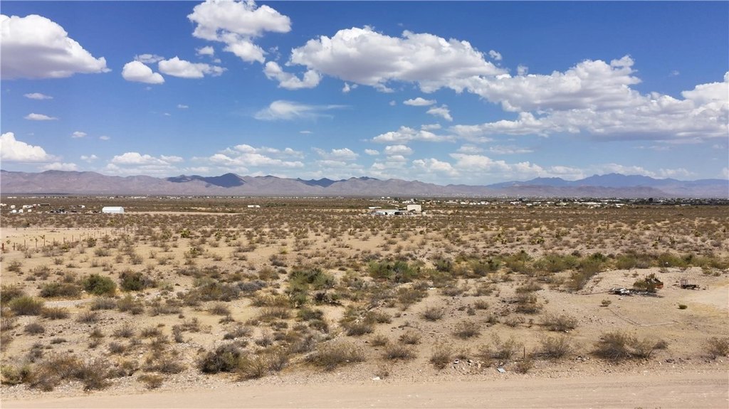 Picture 22
