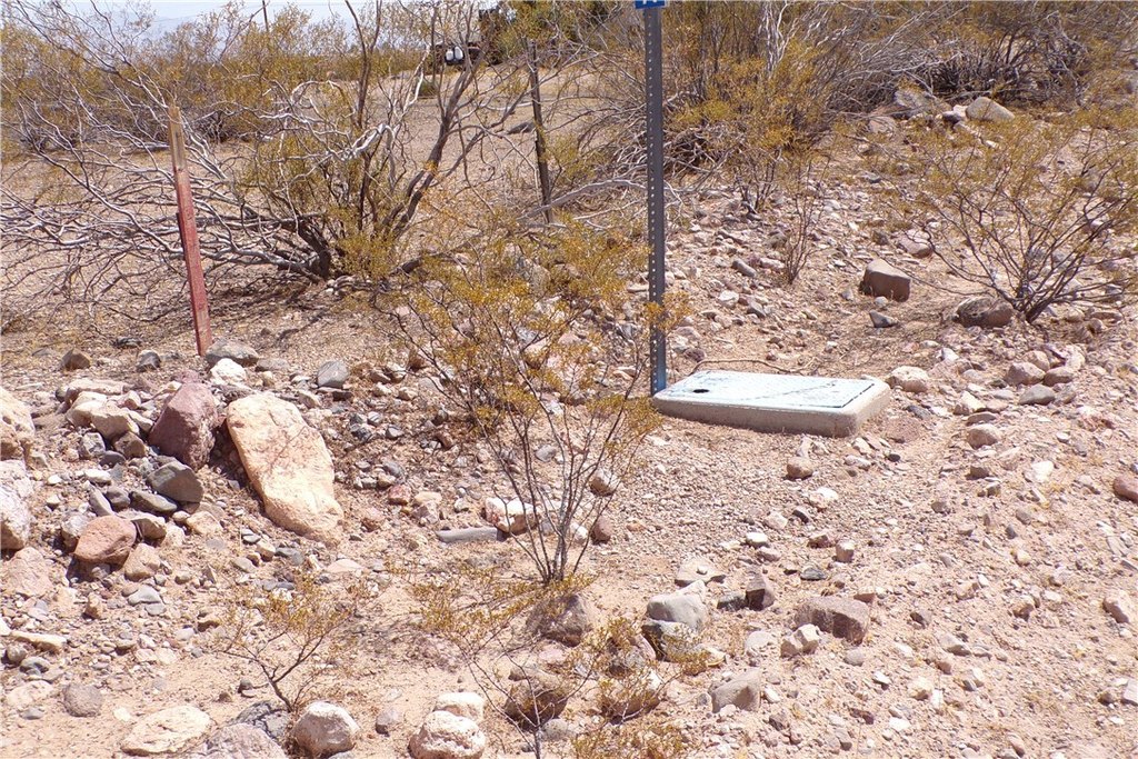 Picture 3