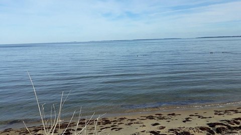 Waterfront Lot with Bay Views