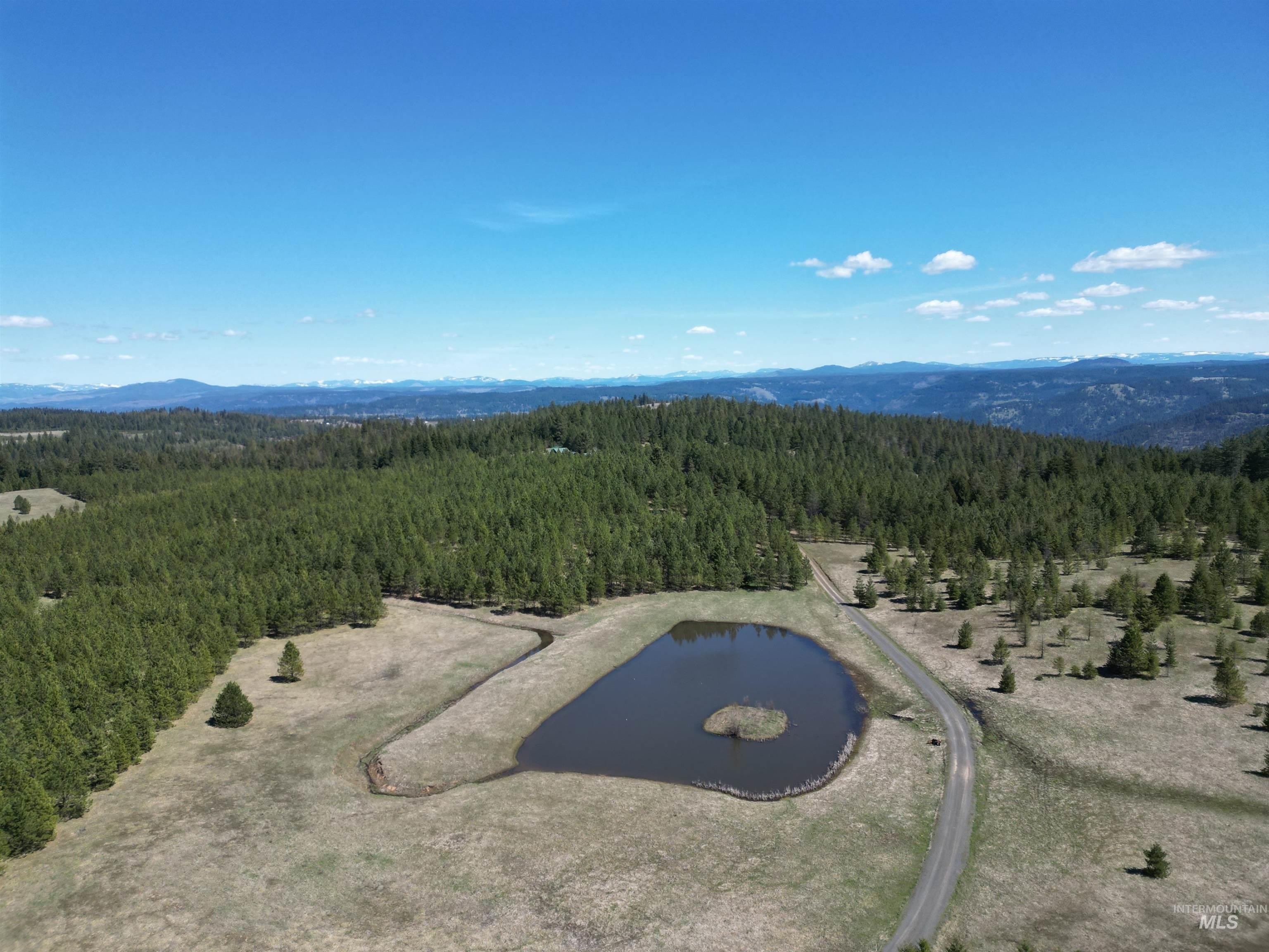 80 Acres of Versatile Land