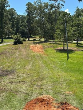 Land, Abbeville, AL
