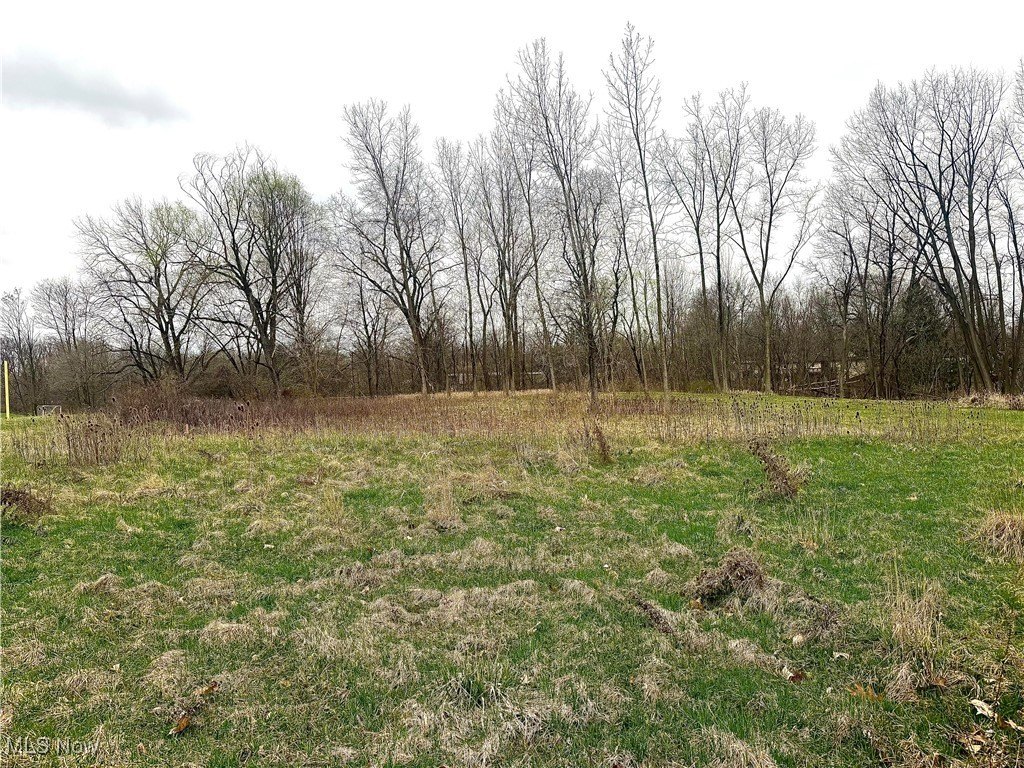 Vacant Lot in Parma, OH