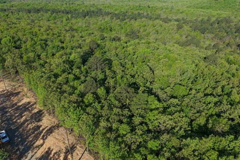 Conway Acreage Community Homesite