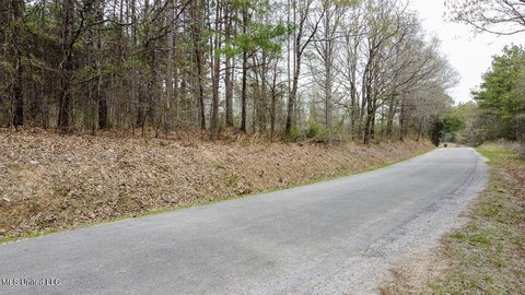 Wooded Land Near Holly Springs